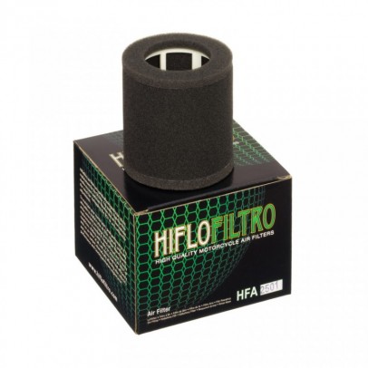 Filtru de aer HIFLOFILTRO