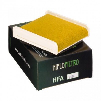 Filtru de aer HIFLOFILTRO