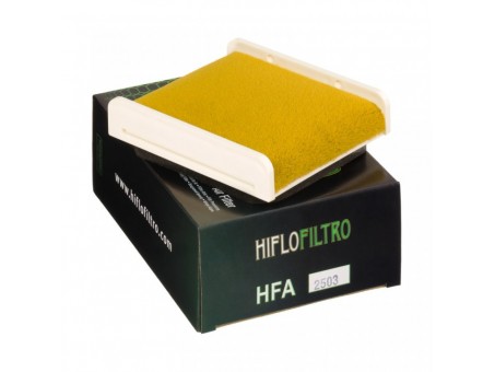 Filtru de aer HIFLOFILTRO