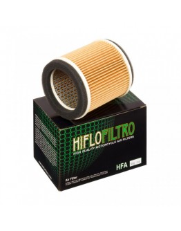 Filtru de aer HIFLOFILTRO HFA2910