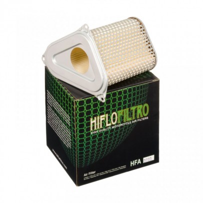 Filtru de aer HIFLOFILTRO