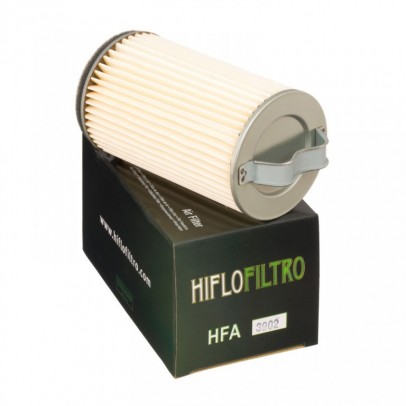 Filtru de aer HIFLOFILTRO