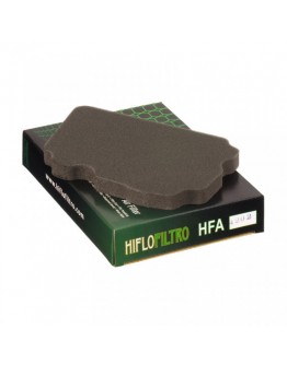 Filtru de aer HIFLOFILTRO HFA4202