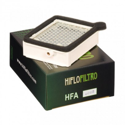 Filtru de aer HIFLOFILTRO