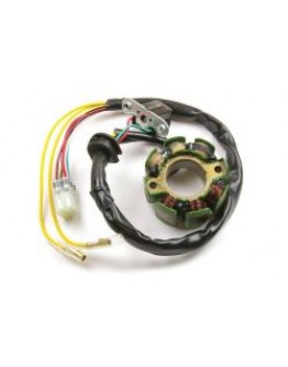 Stator alternator cu lumini ELECTREX - SUZUKI RMZ 250 , RMZ 450