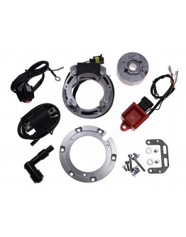 Kit stator alternator CDI ELECTREX - KTM 250 MX