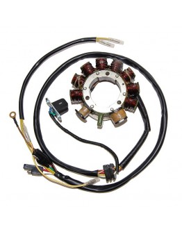 Stator alternator ELECTROSPORT - POLARIS 400/500 (00-04) (cu impulsator)