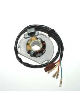 Stator alternator ELECTROSPORT - cu lumini KTM (50W) SX/EXC 125 98-05, SX/EXC250 97-05, EXC 300/360/380 98-05,