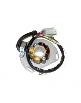 Stator alternator ELECTROSPORT - cu lumini KTM 125/200/250/300 EXC/SX/XC 06- (50W)