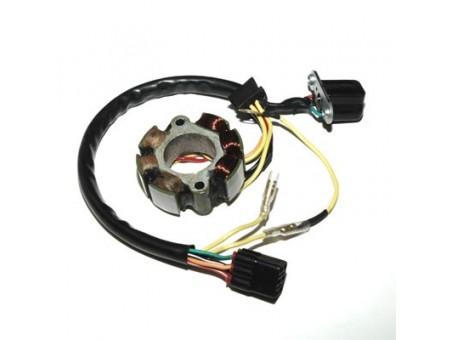 Stator alternator ELECTROSPORT - cu lumini SUZUKI RMZ 450 (05-07) 50W (cu impulsator)