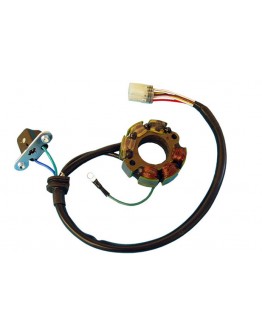 Stator alternator ELECTREX - SUZUKI RMZ 250 , RMZ 450