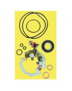 Kit reparatie electromotor ARROWHEAD POLARIS 250/300/400 (cu suport de perii)