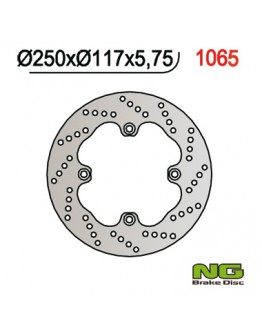 Disc frana spate NG - SUZUKI AN 650 BURGMAN '02-'03 (250X117X5,7) (4X10,5MM)