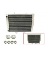 Radiator BRONCO POLARIS RZR 800 '07-12 (intarit cu capacitate marita) (buc)