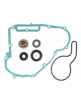 Kit reparatie pompa apa BRONCO POLARIS SPORTSMAN/RANGER/RZR 800 '11-'15