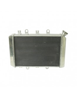 Radiator BRONCO YAMAHA YFM 700/550 GRIZZLY '07-11 (intarit cu capacitate marita) (buc)