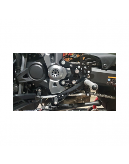 Set scarite racing PP Tuning pentru Kawasaki Z900, model 2017 - 2019