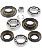 Kit reparatie diferential spate All Balls HONDA TRX 650/680 RINCON '03-'17