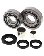 Kit reparatie diferential fata All Balls POLARIS MAGNUM / XPEDITION / MAGNUM
