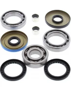 Kit reparatie diferential spate All Balls POLARIS 330/500/700/800