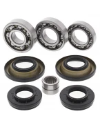 Kit reparatie diferential spate All Balls HONDA TRX420 FA/FPA '09-'14