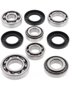 Kit reparatie diferential spate All Balls YAMAHA YFM550 '09-'14, YFM700 GRIZZLY '07-'19, 700EPS '08-'19