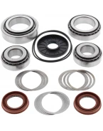 Kit reparatie diferential spate All Balls POLARIS RANGER RZR 800 '08-'14