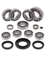 Kit reparatie diferential spate All Balls POLARIS SPORTSMAN / HAWKEYE