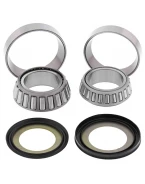 Rulmenti coloana directie cu simeringuri All Balls HONDA CR 125R '95-'97, CR 250R '95-'96