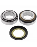 Rulmenti coloana directie cu simeringuri All Balls YAMAHA XP 500 T-MAX '09-'11, YZF R6 '06-'18, FZ1 '06-'15, YZF R1 '07-'18, FZ8 '11-'16, MT09 '13-'15