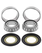 Rulmenti coloana directie cu simeringuri All Balls BMW G450 '08-'11, HARLEY DAVIDSON ROAD KING, ELECTRA GLIDE, STREET GLIDE '14-'16