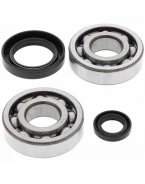 Rulmenti arbore cotit cu simeringuri All Balls HONDA CR 250 '84-'91
