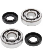 Rulmenti arbore cotit cu simeringuri All Balls KAWASAKI KX 65/80/85, SUZUKI RM 60/65, KX 100 '98-'19
