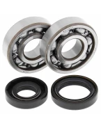 Rulmenti arbore cotit cu simeringuri All Balls KAWASAKI KX 125 '88-'07
