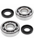 Rulmenti arbore cotit cu simeringuri All Balls KAWASAKI KX 250 '80-'86, KDX 250 '80-'84