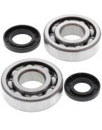 Rulmenti arbore cotit cu simeringuri All Balls KAWASAKI KX 250 '87-'01