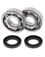 Rulmenti arbore cotit cu simeringuri All Balls KAWASAKI KX 500 '83-'04