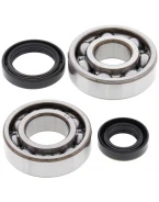 Rulmenti arbore cotit cu simeringuri All Balls SUZUKI RM 125 '82-'88
