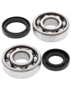 Rulmenti arbore cotit cu simeringuri All Balls YAMAHA YZ 125 '86-'00
