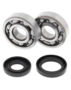 Rulmenti arbore cotit cu simeringuri All Balls YAMAHA YZ 125 '01-'04