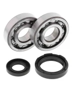 Rulmenti arbore cotit cu simeringuri All Balls YAMAHA YZ 250 '88-'97