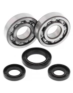 Rulmenti arbore cotit cu simeringuri All Balls YAMAHA YZ 250 '98-'00