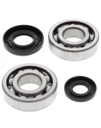 Rulmenti arbore cotit cu simeringuri All Balls YAMAHA YZ 250 '01-'22