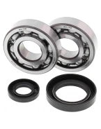 Rulmenti arbore cotit cu simeringuri All Balls HONDA CR 250 '92-'07
