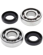 Rulmenti arbore cotit cu simeringuri All Balls KAWASAKI KFX80 '03-'06, SUZUKI LT 80 '87-'06