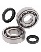 Rulmenti arbore cotit cu simeringuri All Balls SUZUKI LT-500R 87-90