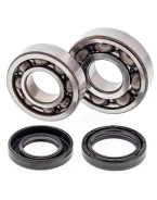 Rulmenti arbore cotit cu simeringuri All Balls YAMAHA YFS 200 BLASTER '88-'06