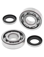 Rulmenti arbore cotit cu simeringuri All Balls KAWASAKI KDX 200 '83-'90