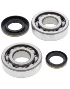 Rulmenti arbore cotit cu simeringuri All Balls SUZUKI RM 250 '03-'04