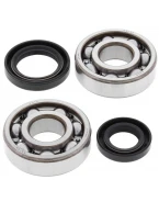 Rulmenti arbore cotit cu simeringuri All Balls HONDA CR 125 '80-'86